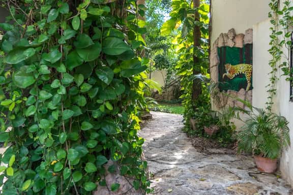 Mixteca 3 by Blueplaya, 1 block from beach - Image 3