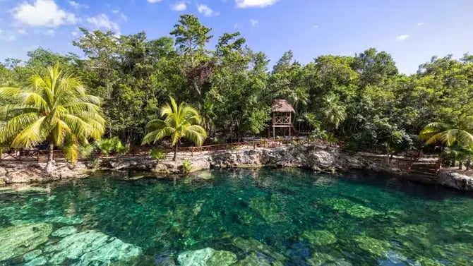 8 Best Cenotes in Playa del Carmen