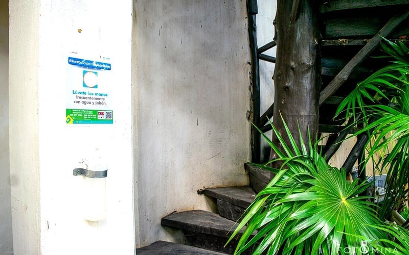 Spiral staircase and garden