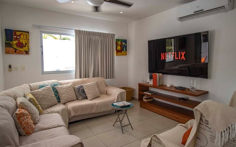 Living room with Netflix TV