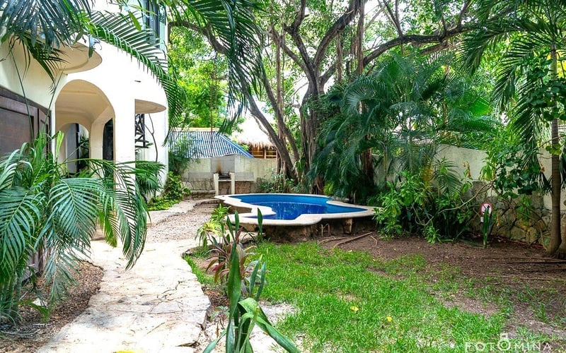 Garden and pool area