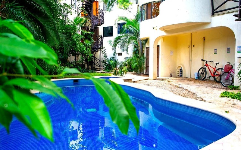 Pool with tropical garden