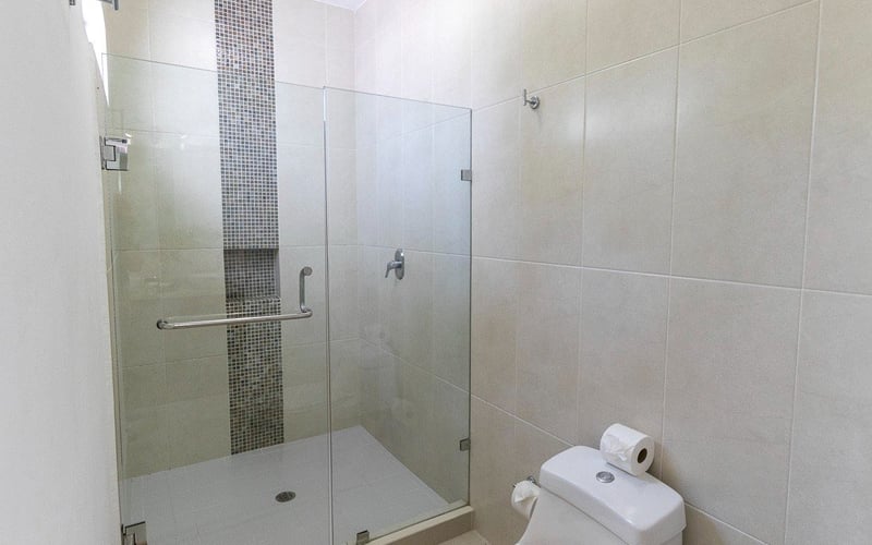 Glass-enclosed shower